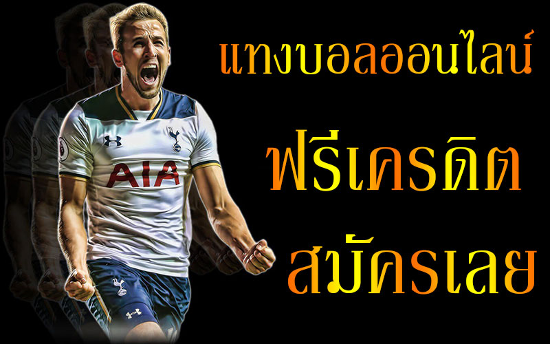 แทงบอล แบบมืออาชีพ