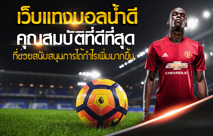 เว็บแทงบอล ที่ดีที่สุด